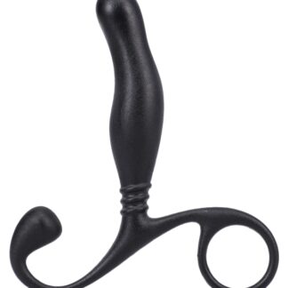 Prostate Massager in a Bag